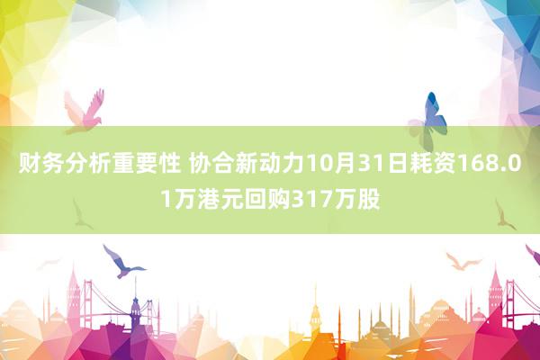 财务分析重要性 协合新动力10月31日耗资168.01万港元回购317万股