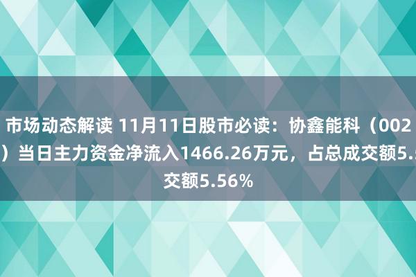 市场动态解读 11月11日股市必读：协鑫能科（002015）当日主力资金净流入1466.26万元，占总成交额5.56%