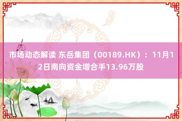 市场动态解读 东岳集团（00189.HK）：11月12日南向资金增合手13.96万股