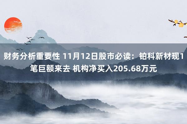 财务分析重要性 11月12日股市必读：铂科新材现1笔巨额来去 机构净买入205.68万元