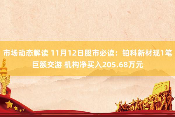 市场动态解读 11月12日股市必读：铂科新材现1笔巨额交游 机构净买入205.68万元