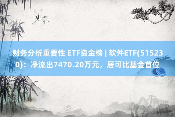 财务分析重要性 ETF资金榜 | 软件ETF(515230)：净流出7470.20万元，居可比基金首位