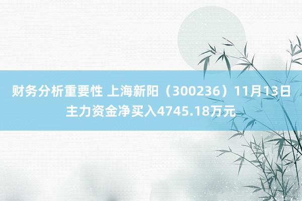 财务分析重要性 上海新阳（300236）11月13日主力资金净买入4745.18万元