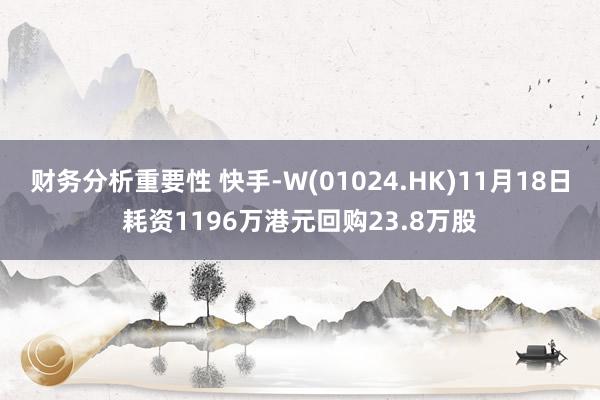 财务分析重要性 快手-W(01024.HK)11月18日耗资1196万港元回购23.8万股