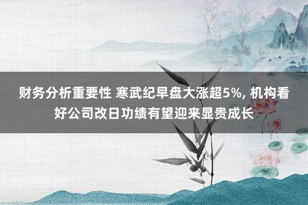 财务分析重要性 寒武纪早盘大涨超5%, 机构看好公司改日功绩有望迎来显贵成长