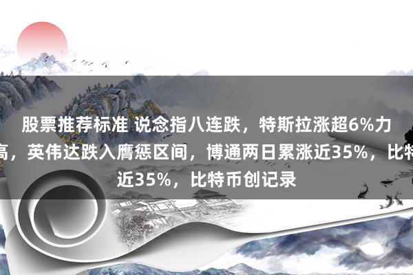 股票推荐标准 说念指八连跌，特斯拉涨超6%力挺纳指新高，英伟达跌入膺惩区间，博通两日累涨近35%，比特币创记录