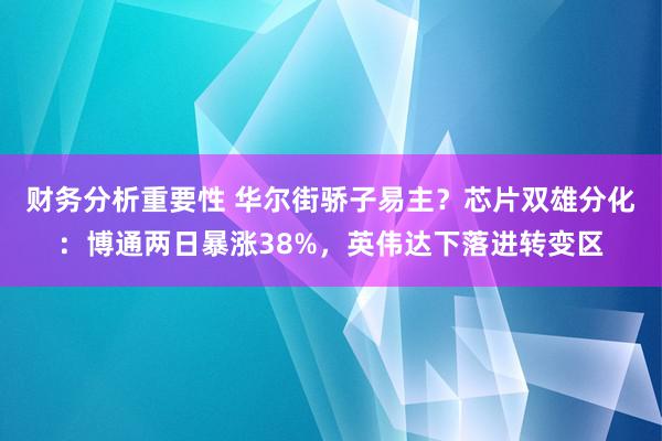 财务分析重要性 华尔街骄子易主？芯片双雄分化：博通两日暴涨38%，英伟达下落进转变区