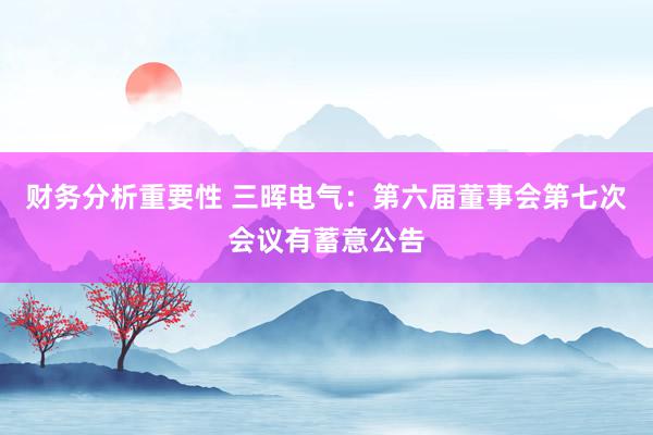 财务分析重要性 三晖电气：第六届董事会第七次会议有蓄意公告