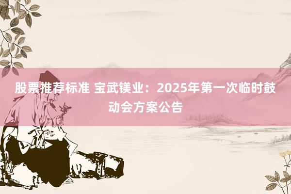 股票推荐标准 宝武镁业：2025年第一次临时鼓动会方案公告