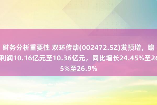 财务分析重要性 双环传动(002472.SZ)发预增，瞻望净利润10.16亿元至10.36亿元，同比增长24.45%至26.9%