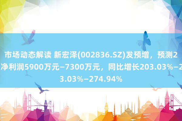 市场动态解读 新宏泽(002836.SZ)发预增，预测2024年度净利润5900万元—7300万元，同比增长203.03%—274.94%