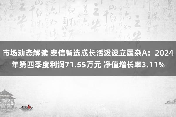 市场动态解读 泰信智选成长活泼设立羼杂A：2024年第四季度利润71.55万元 净值增长率3.11%