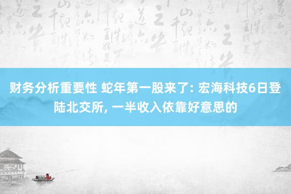 财务分析重要性 蛇年第一股来了: 宏海科技6日登陆北交所, 一半收入依靠好意思的