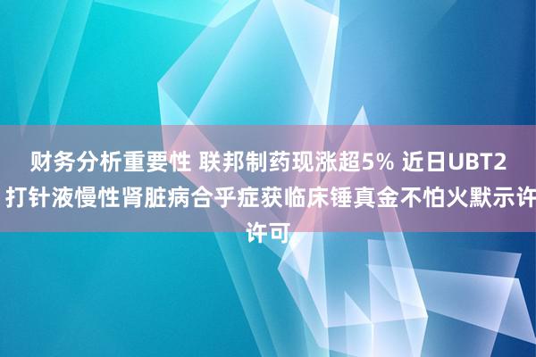 财务分析重要性 联邦制药现涨超5% 近日UBT251打针液慢性肾脏病合乎症获临床锤真金不怕火默示许可