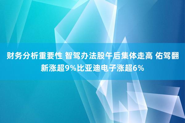 财务分析重要性 智驾办法股午后集体走高 佑驾翻新涨超9%比亚迪电子涨超6%