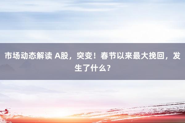 市场动态解读 A股，突变！春节以来最大挽回，发生了什么？