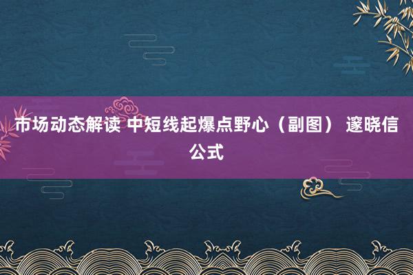 市场动态解读 中短线起爆点野心（副图） 邃晓信公式