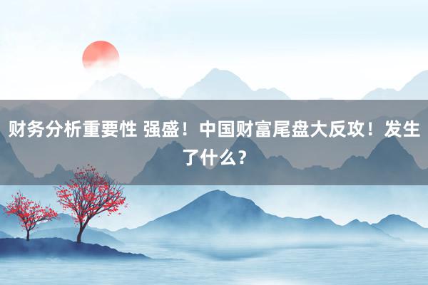 财务分析重要性 强盛！中国财富尾盘大反攻！发生了什么？